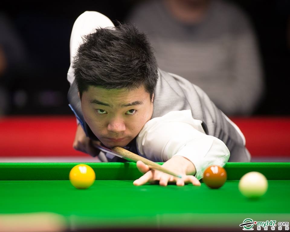 不乏类似案 不乏类似案