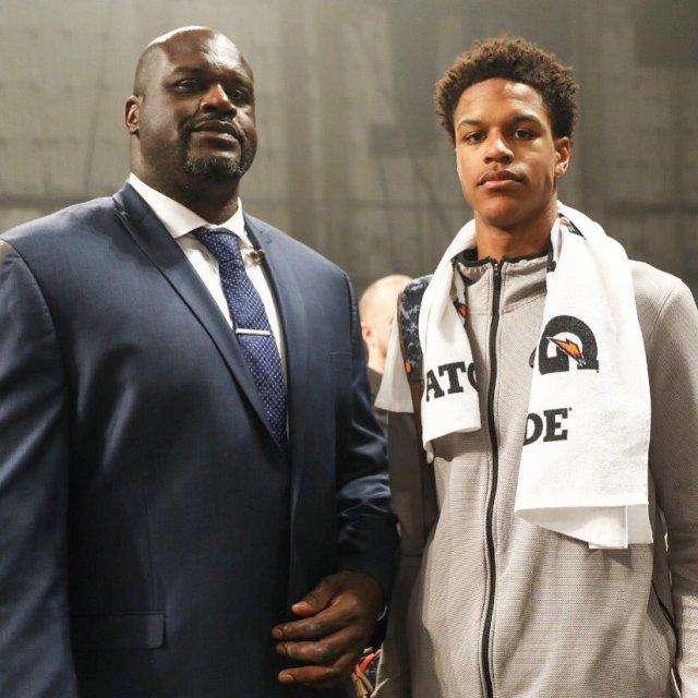 的直觉校准 的直觉校准